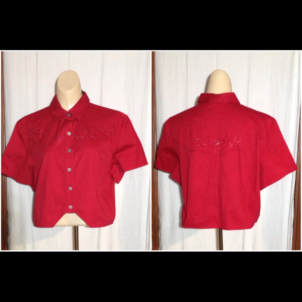 Women's Sz L Ozark Mountain Vintage Western Shirt